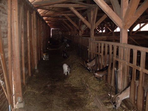 sdc14244.jpg