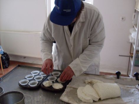 sdc14581.jpg