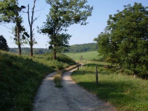 sdc15830.jpg
