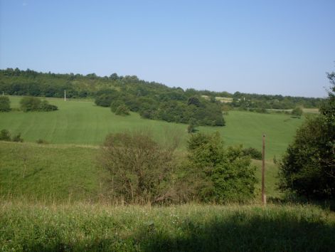 sdc15831.jpg