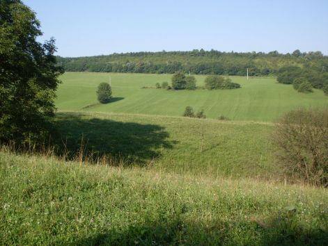 sdc15832.jpg