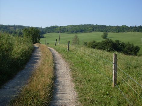 sdc15833.jpg
