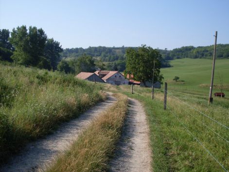 sdc15834.jpg