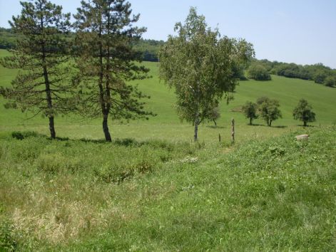 sdc15871.jpg